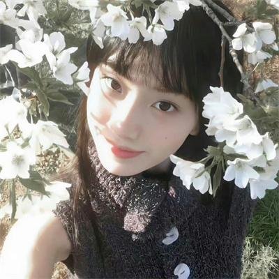 铁线蕨青