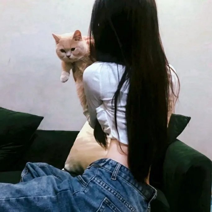 领航人